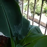 Bed & Breakfast Casa Catharina La Seu d'Urgell
