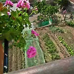 Casa Catharina 3*