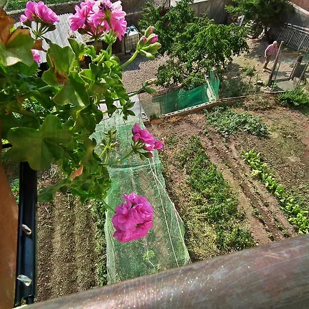 Casa Catharina 3*
