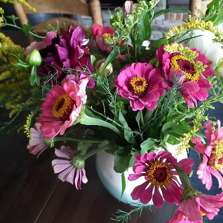 ベッド・アンド・ブレックファスト Casa Catharina ラ・セウ・ドゥルジェイ